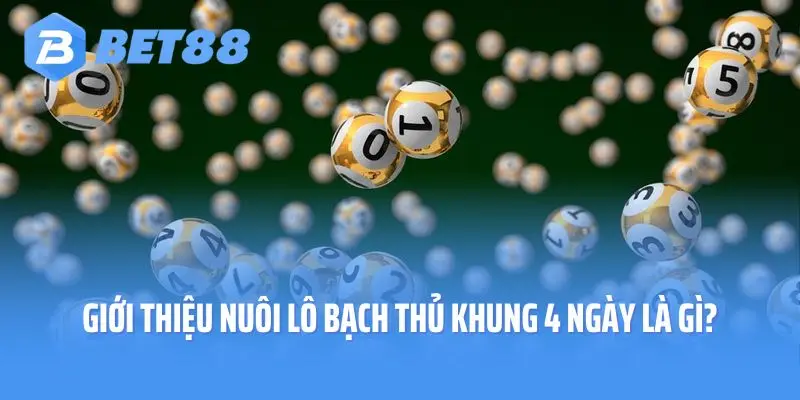 Giới thiệu nuôi lô bạch thủ khung 4 ngày là gì?