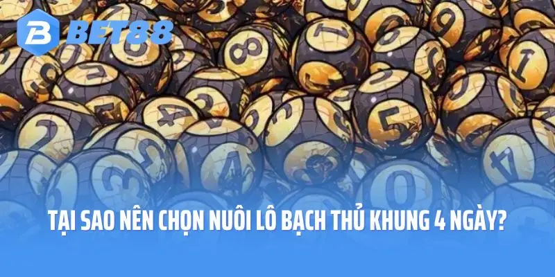 Tại sao nên chọn nuôi lô bạch thủ khung 4 ngày?